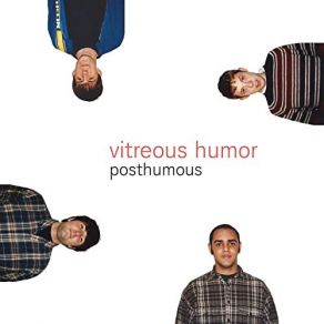 Download track New Victoria Theater The Vitreous Humor