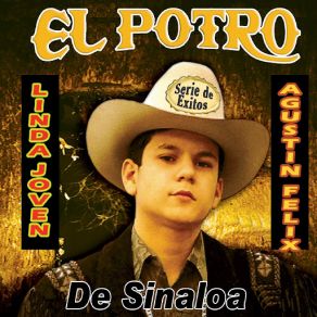 Download track Si Es Cierto Que Te Vas El Potro De Sinaloa