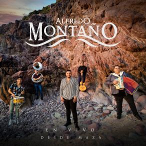 Download track Sinaloense Hecho Y Derecho (En Vivo) Alfredo Montaño