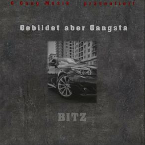 Download track Gesetze Bitz