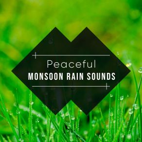 Download track Gentle Rain For Babies Loopable Rain Sounds