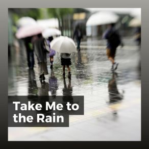 Download track Healing Rain For Sleep, Pt. 11 Loopable Rain Sounds