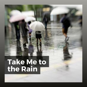 Download track Thoughtful Rain Loopable Rain Sounds