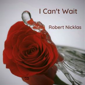 Download track She Was Twerkin Robert Nicklas