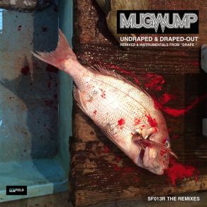 Download track No Trepidation (Rheinzand Remix) Mugwump