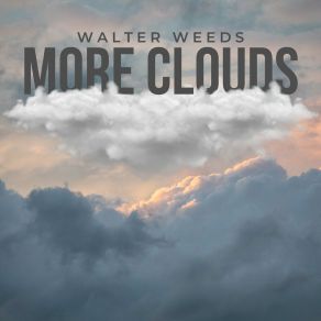 Download track Marvelous WALTER WEEDS