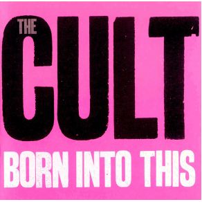 Download track Illuminated The Cult