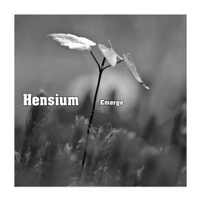 Download track Absoluteness Hensium