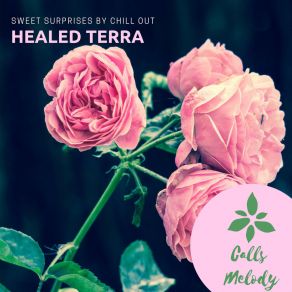 Download track Beauty Of India (Original Mix) Healed Terra