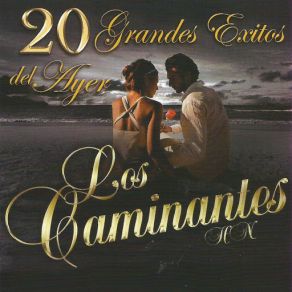 Download track Desde Que Tu Ya No Estas Los Caminantes