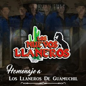 Download track Concha Querida Los Nuevos Llaneros