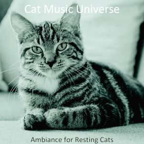 Download track Sumptuous Solo Piano Jazz - Vibe For Cute Cats Cat Music Universe