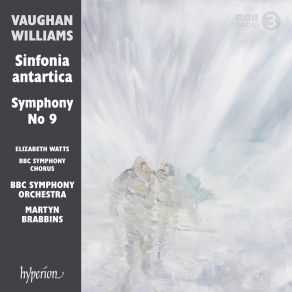 Download track Symphony No. 9 In E Minor: Moderato Maestoso BBC Symphony Orchestra, Martyn Brabbins