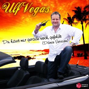 Download track Du Hast Mir Gerade Noch Gefehlt Ulf Vegas