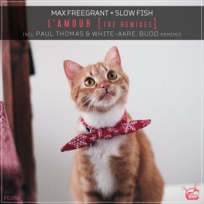 Download track Lamour (Budd Remix) Slow FishMax Freegrant