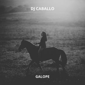 Download track Pampas DJ Caballo