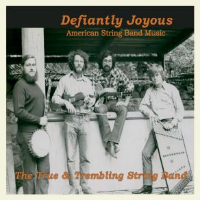 Download track Little Rabbit Trembling String Band