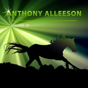 Download track Slow Gravity Anthony Alleeson