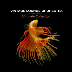 Download track Georgy Porgy (Larse Radio Edit) Vintage Lounge Orchestra