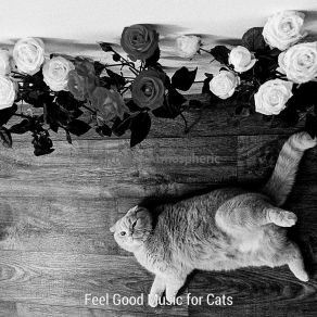 Download track Memories (Cute Kittens) Feel Good Music For Cats