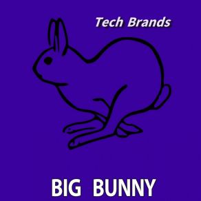 Download track Minimum Format (Big Bunny Remix) Techno Red