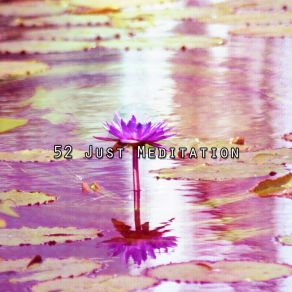 Download track Celebration Of Life Asian Zen Spa Music Meditation