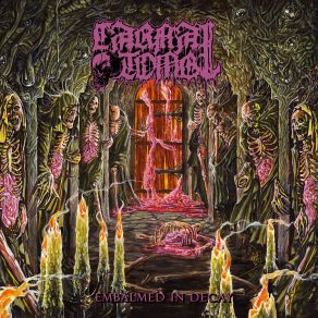 Download track Cerebral Ingestion Carnal Tomb