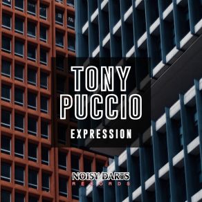 Download track Little Hater Tony Puccio