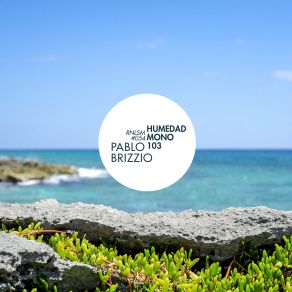 Download track Humedad (Original Mix) Pablo Brizzio