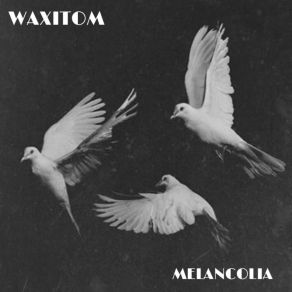 Download track Você Perdeu WAXITOM