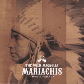 Download track Shake 'em Down The Wild Magnolia Mariachis