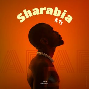 Download track Ndombolo (Téké Version) Sharabia