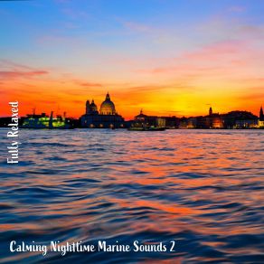 Download track Calming Nighttime Marine Sounds, Pt. 11 Steve Brassel