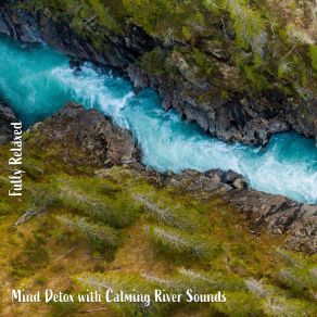 Download track Mind Detox With Calming River Sounds, Pt. 7 Steve Brassel