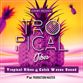 Download track Ma Biatch Tropical VibesVan Snyder, P3TR