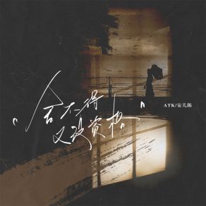 Download track 舍不得又没资格 (伴奏) 安儿陈