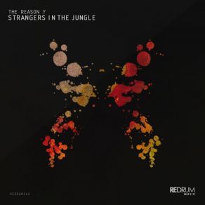 Download track Strangers In The Jungle (Original Mix) The Reason Y