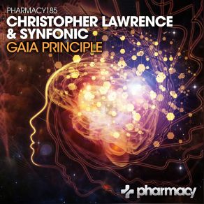 Download track Gaia Principle (Original Mix) Christopher Lawrence, Synfonic