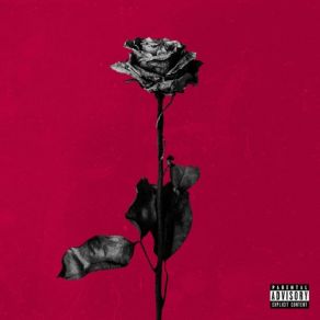 Download track My Heart Is Lost Blackbear