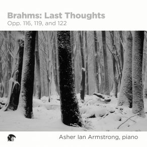 Download track 11 Choralvorspiele, Op. 122 VIII. Es Ist Ein Ros Entsprungen Asher Ian Armstrong