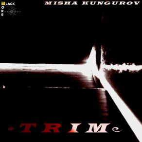 Download track Trim Misha Kungurov