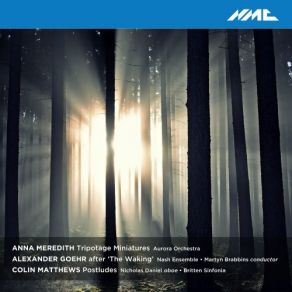 Download track Postludes: No. 2, Elegiac Intermezzo (Live) Nash Ensemble, Aurora Orchestra, Britten Sinfonia