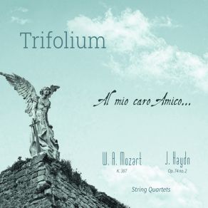 Download track String Quartet In F Major, Hob. III: 73: III. Minuet Cuarteto Trifolium