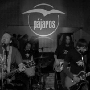 Download track Enloqueci Pajaros