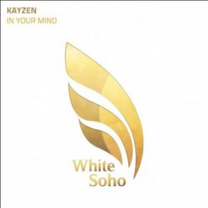 Download track In Your Mind (Original Mix) Kayzen