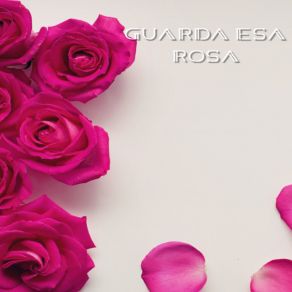 Download track Guarda Esa Rosa Joe Danova