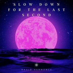 Download track Slow Down For The Last Second David Hermance