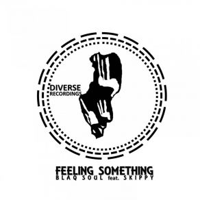 Download track Feeling Something (Instrumental Mix) Blaq SoulSkippy