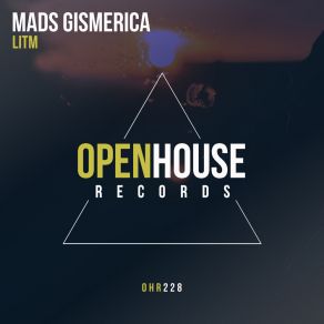 Download track LITM (Radio Edit) Mads Gismerica