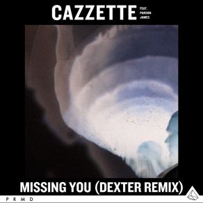 Download track Missing You CazzetteParson James